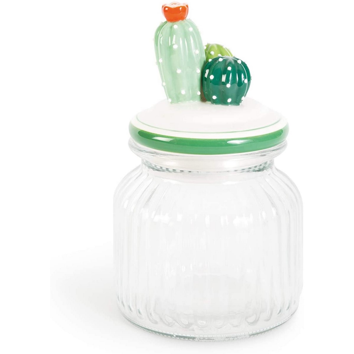 Barattolo cactus vetro e Ceramica verde excelsa cod.62731